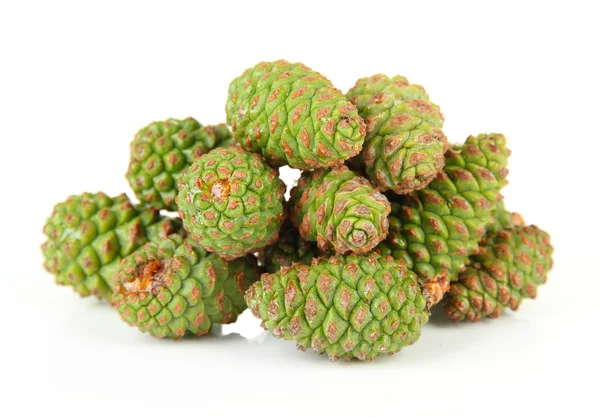 Green pine cones isolated on white — Stock Photo, Image