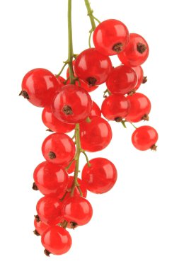 Frenk üzümü üzerinde beyaz izole Şubesi