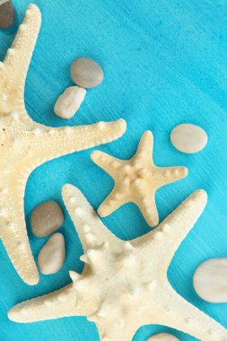 Mavi ahşap masa yakın çekim üzerinde beyaz starfishes