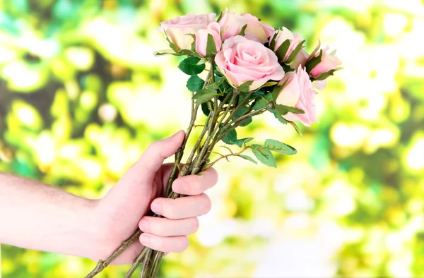 Man's hand giving a roses on bright background