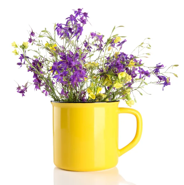 Hermoso ramo de flores silvestres en taza, aislado en blanco — Foto de Stock