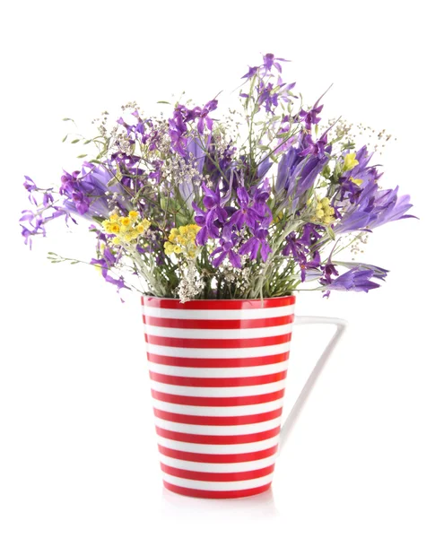 Beautiful bouquet of wildflowers in cup, isolated on white — Stock Photo, Image