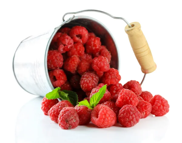 Ripe sweet raspberries in pail, isolated on white — Stock Photo, Image