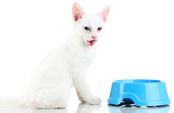 Gatinho com tigela de comida isolada em branco — Fotografia de Stock