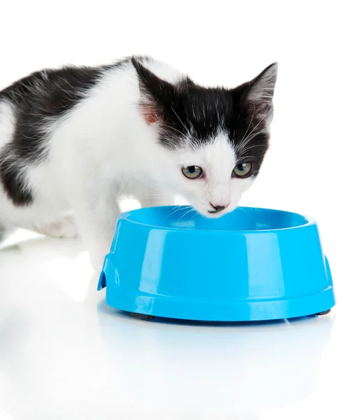 Kitten with food bowl isolated on white — Stock Photo, Image