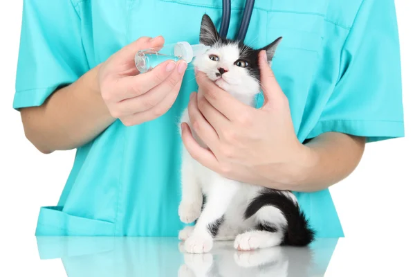 Veterinario examinando gatito aislado en blanco — Foto de Stock