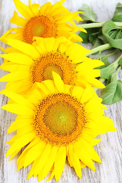 Girasoles sobre fondo de madera —  Fotos de Stock