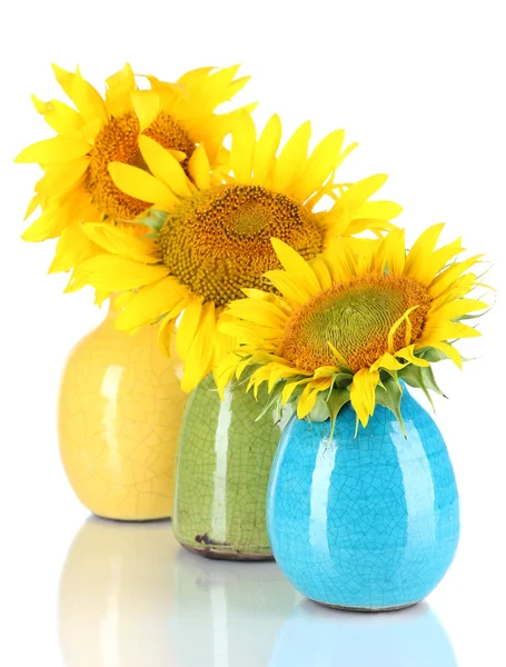 Hermosos girasoles en jarrones de color, aislados en blanco — Foto de Stock