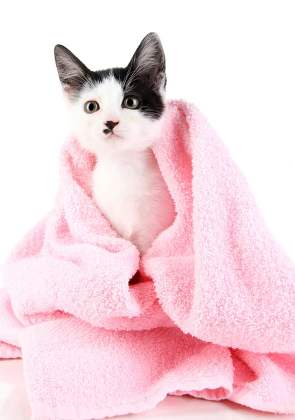 Gatinho pequeno em toalha rosa isolado em branco Fotografia De Stock