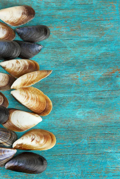 Sea seashells on blue wooden table close-up Stock Picture