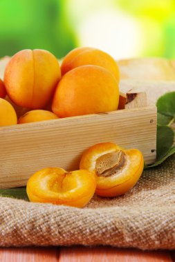 Kayısı çekmecesinde üzerinde torbalama doğa zemin üzerine ahşap tablo