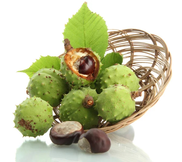 Chestnuts with leaves in basket, isolated on white — Stock Photo, Image