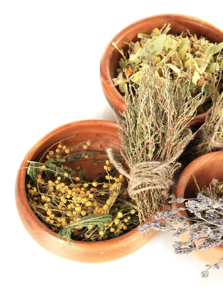 Hierbas medicinales en cuencos de madera aislados en blanco — Foto de Stock