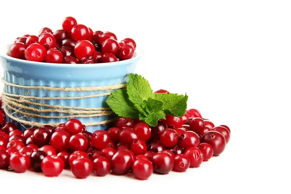 Ripe red cranberries in bowl, isolated on whit — Stock Photo, Image