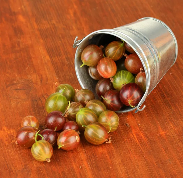 Fresh gooseberries in bucket on table close-up — Stock Photo, Image