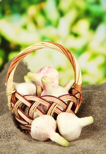 Fresh garlic in wicker basket, on sackcloth, on bright background — Stock Photo, Image