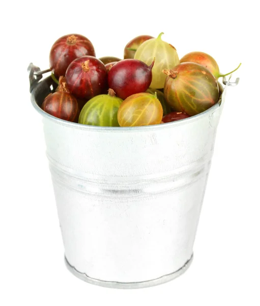 Fresh gooseberries in bucket isolated on white — Stock Photo, Image