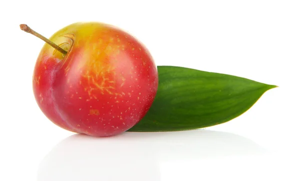 Ripe plum isolated on white — Stock Photo, Image