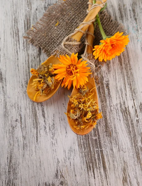 Fresh and dried calendula flowers on wooden background — Stock Photo, Image