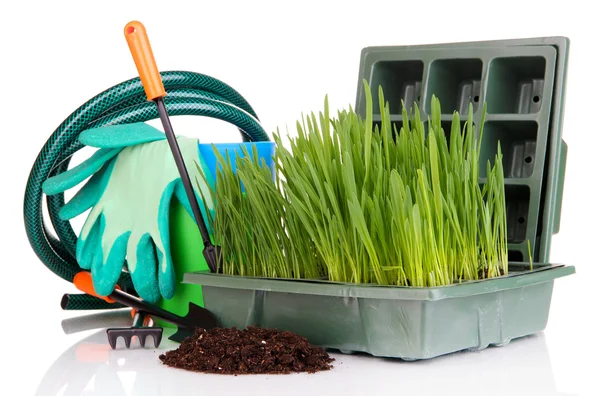 Seed box with seedling isolated on white — Stock Photo, Image