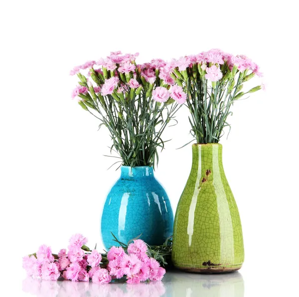 Viele kleine rosa Nelken in Vasen isoliert auf weiß — Stockfoto
