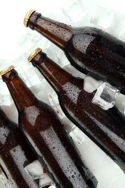 Garrafas de cerveja em cubos de gelo de perto — Fotografia de Stock