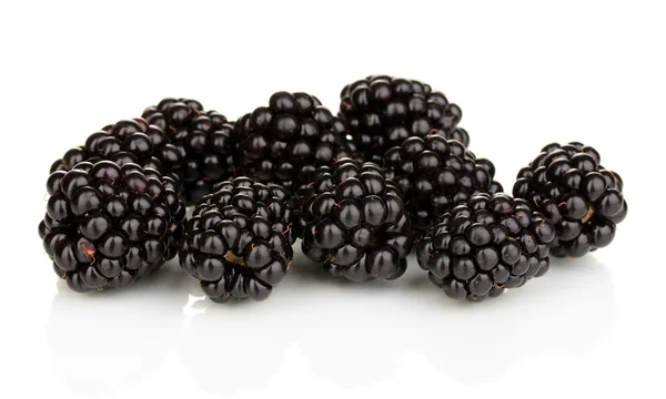Édes blackberry elszigetelt fehér — Stock Fotó