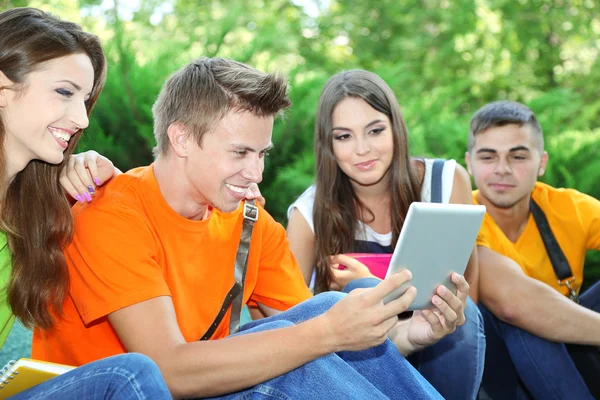 Felice gruppo di giovani studenti seduti nel parco — Foto Stock