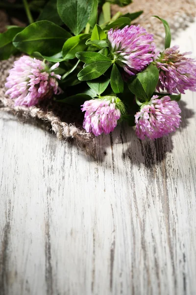 Fiori di trifoglio con foglie su sfondo di legno — Foto Stock