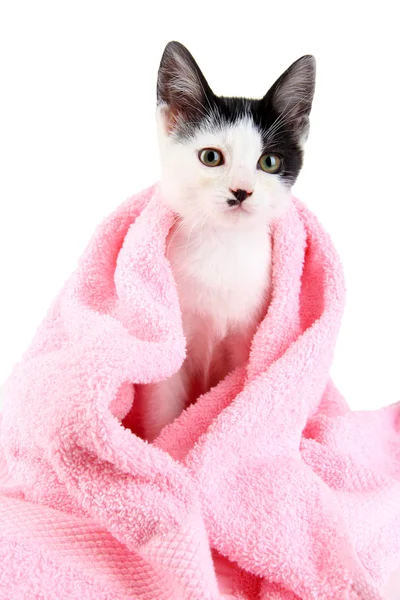 Gatito pequeño en toalla rosa aislado en blanco Imagen de stock