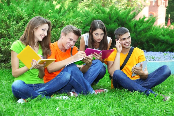 Happy group of young students sitting on meadow Royalty Free Stock Images
