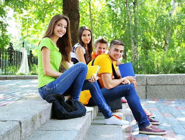 Feliz grupo de jóvenes estudiantes sentados en el parque —  Fotos de Stock