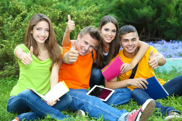 Feliz grupo de jóvenes estudiantes sentados en el prado —  Fotos de Stock