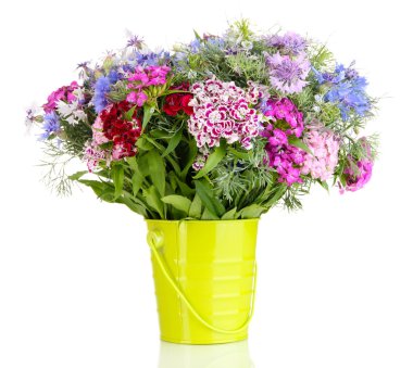 beyaz izole kova içinde güzel bir buket