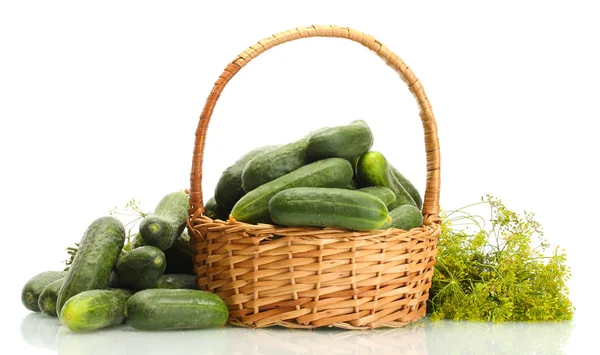 Concombres frais et l'aneth dans le panier isolé sur blanc — Photo