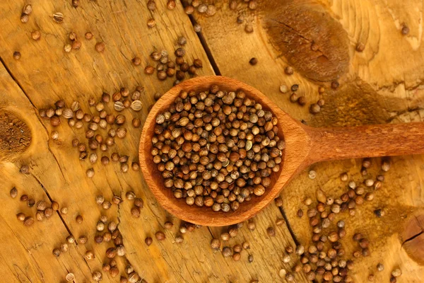 Heap coriander seeds in wooden spoon on wooden background close-up — Stock Photo, Image