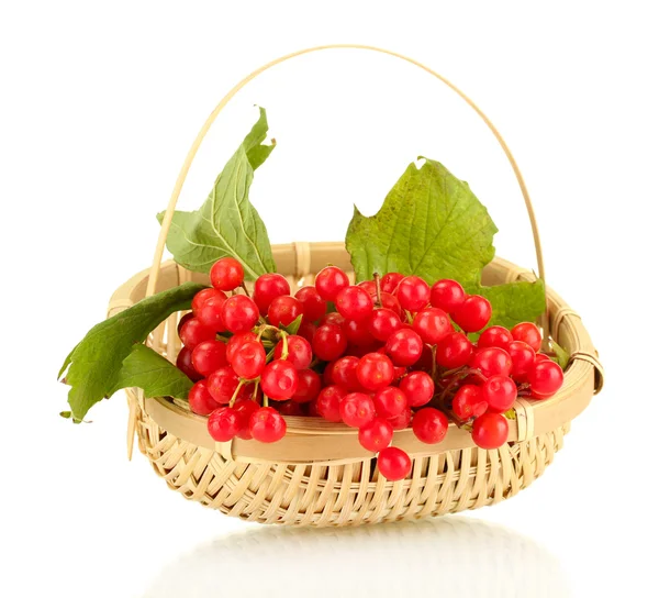 Ripe viburnum in a wicker basket isolated on white — Stock Photo, Image