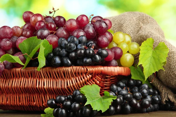 Assortment of ripe sweet grapes in basket, on green background — Stock Photo, Image