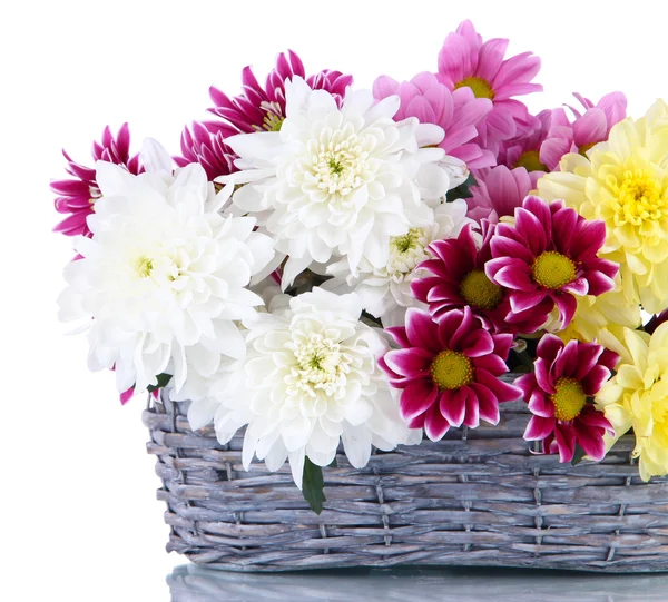 Bouquet di bellissimi crisantemi in vimini isolato su bianco — Foto Stock