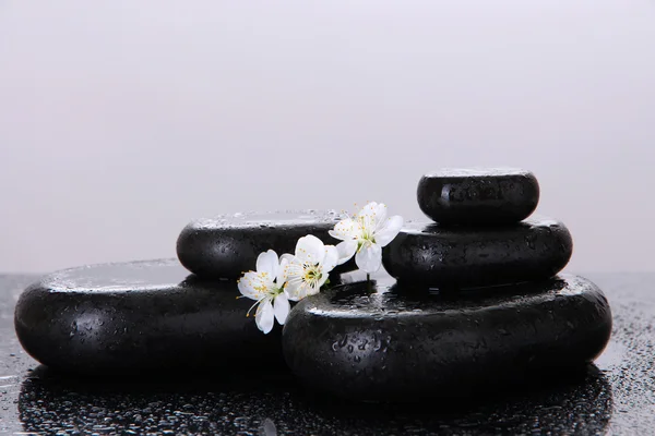 Wellness-Steine und weiße Blumen auf dunklem Hintergrund — Stockfoto