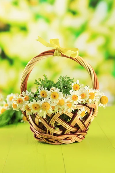 Wild camomiles and spikelets in basket, on green background — Stock Photo, Image