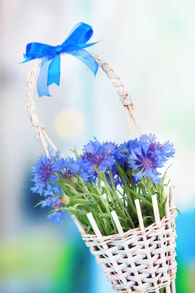 Beautiful bouquet of cornflowers in basket on blue background — Stock Photo, Image