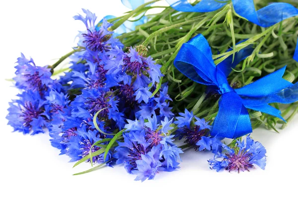 Beau bouquet de bleuets, isolé sur blanc — Photo