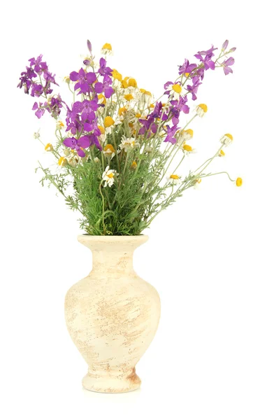 Bouquet de fleurs sauvages en vase, isolé sur blanc — Photo