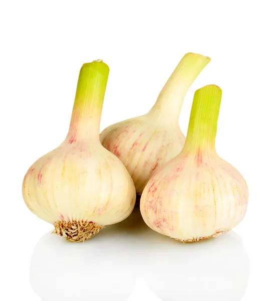 Knoblauch isoliert auf weiß — Stockfoto