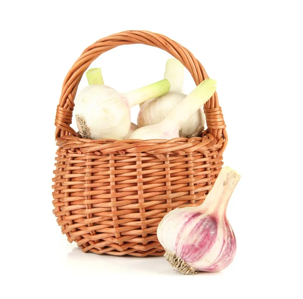Fresh garlic, in wicker basket isolated on white — Stock Photo, Image