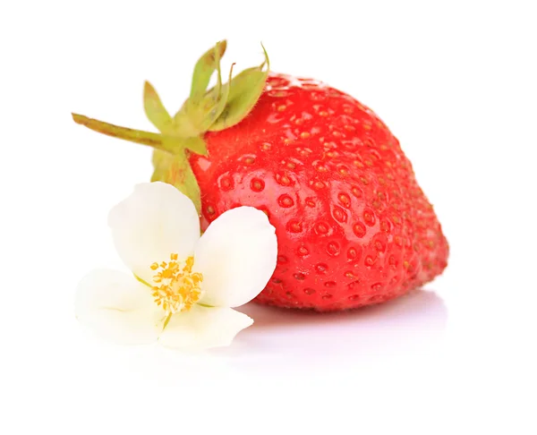 Ripe sweet strawberry and flower, isolated on white — Stock Photo, Image