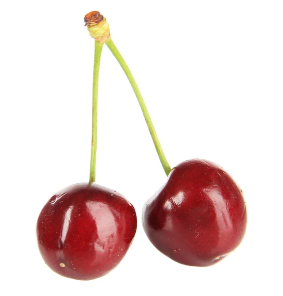 Ceri berry diisolasi di atas putih — Stok Foto