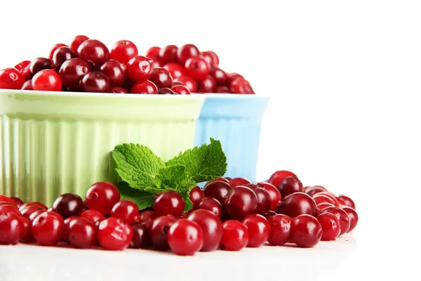 Ripe red cranberries in bowls, isolated on whit — Stock Photo, Image