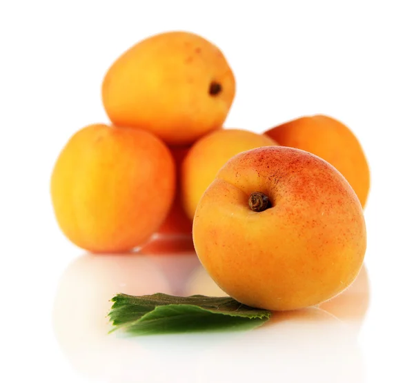 Apricots isolated on white — Stock Photo, Image